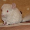 Альмеро